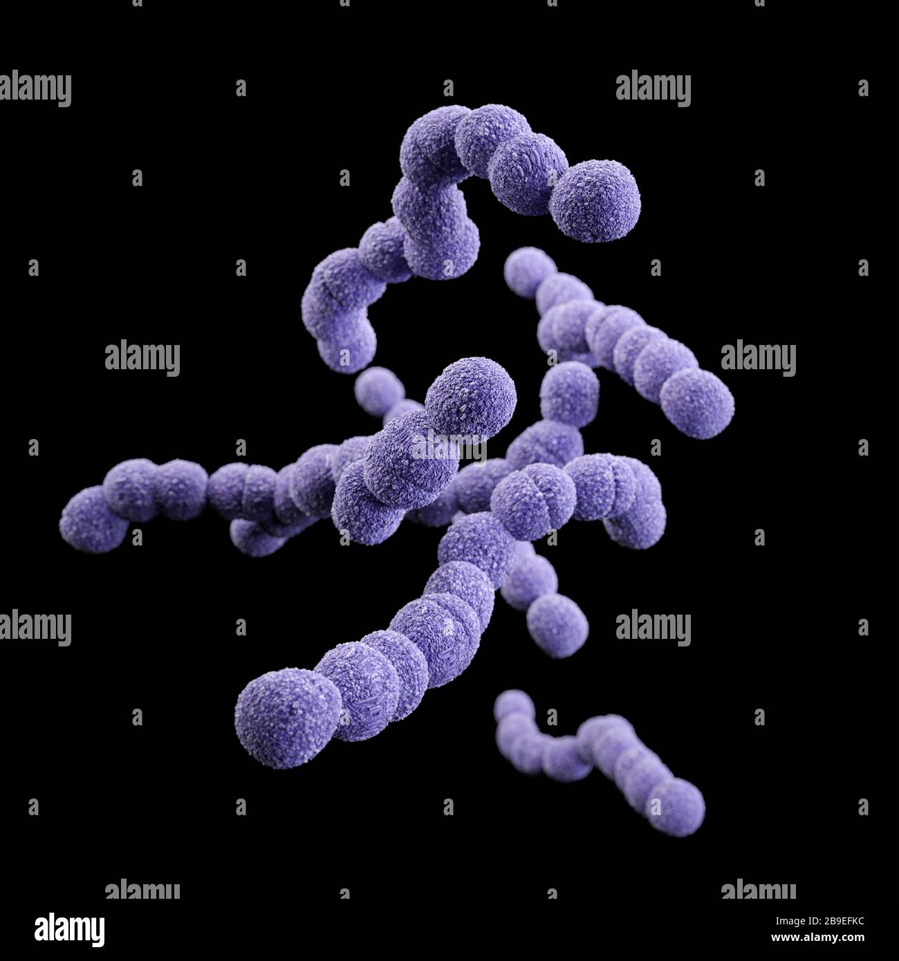 3D-Darstellung der Streptococcus agalactiae-Bakterien. Stockfoto