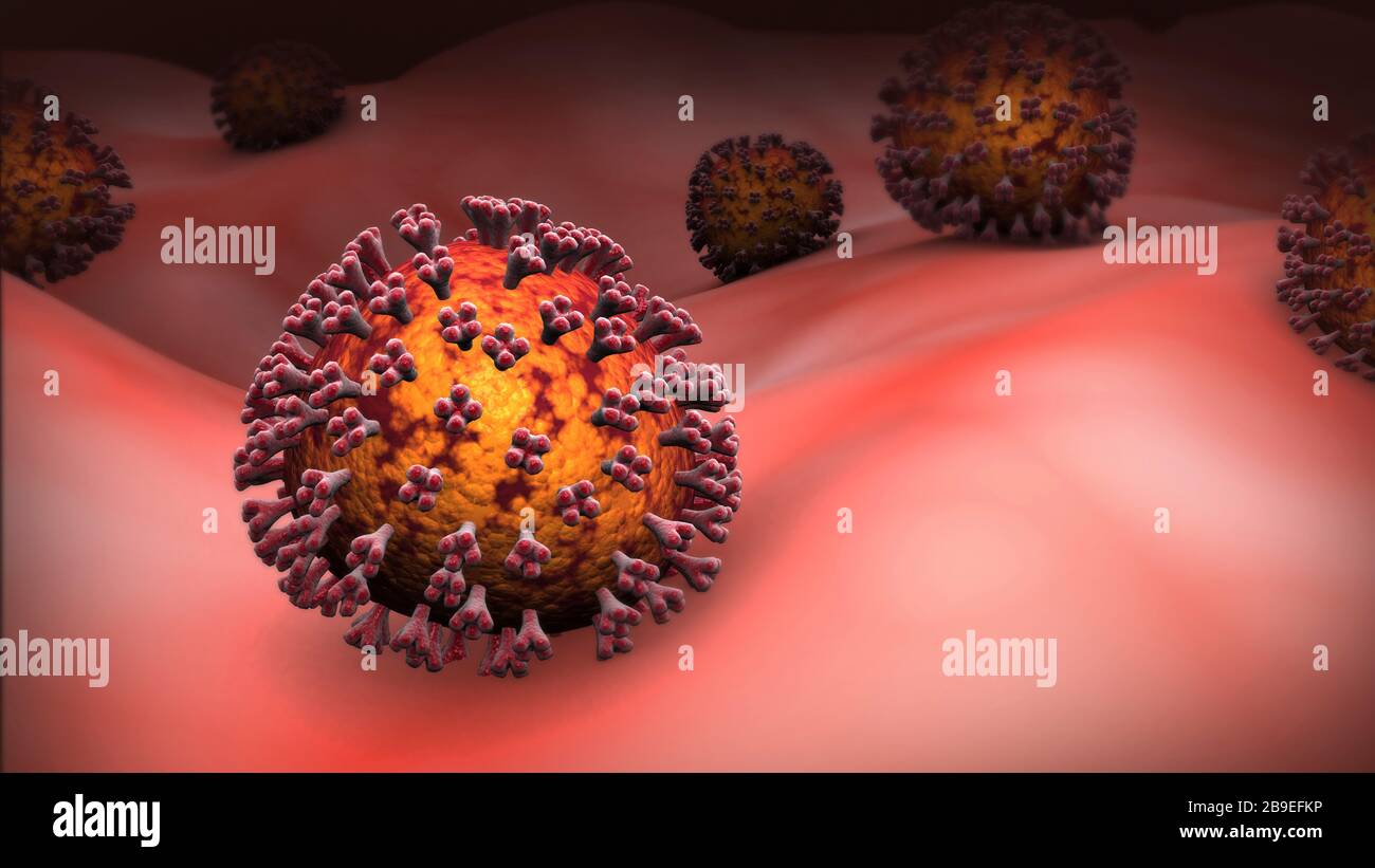 COVID-19 Coronavirus im menschlichen Körper. Stockfoto