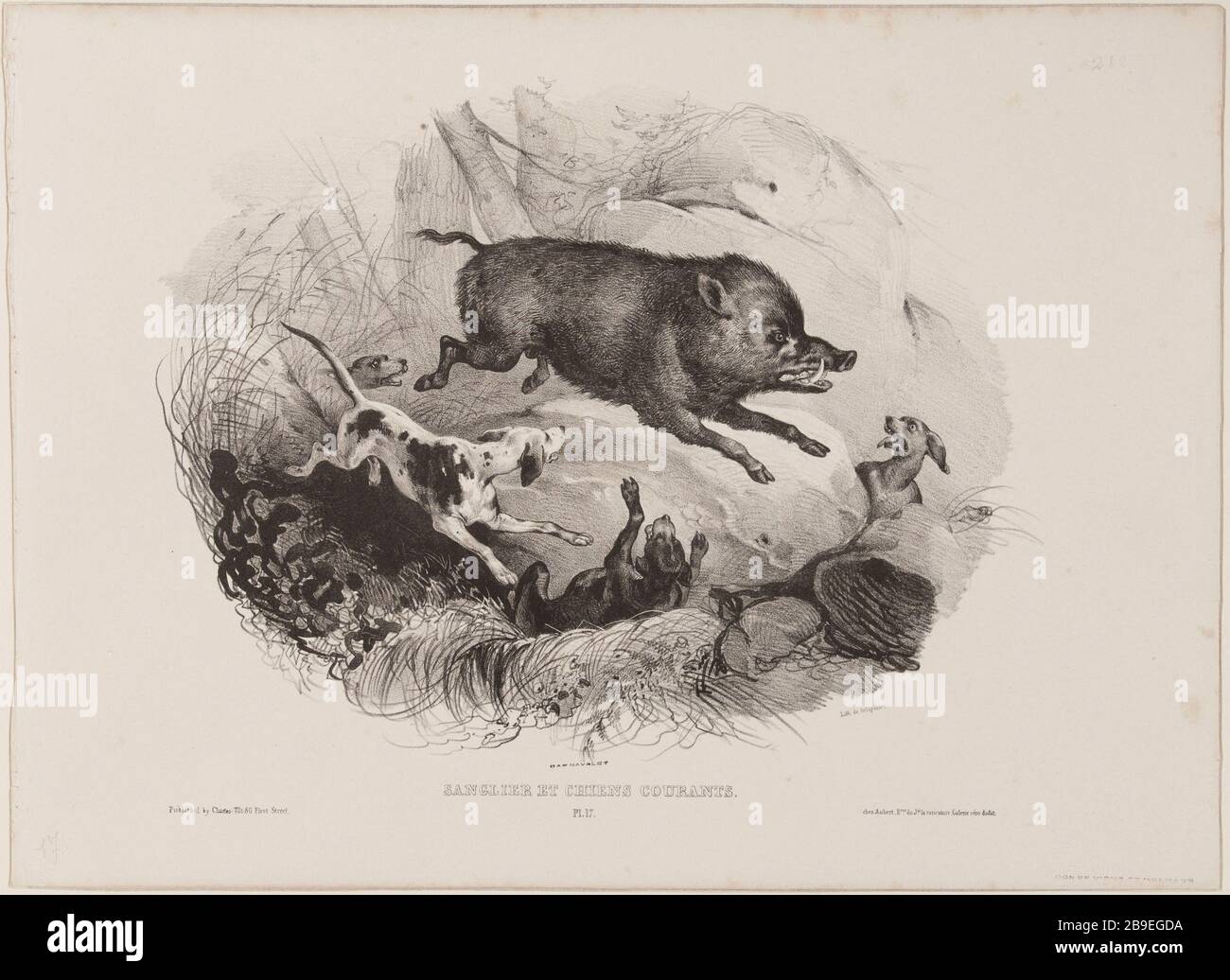 Boar and Hounds (pl.17) Jean-Victor Vincent Adam (1801-1866), peintre et lithographe français. Sanglier et chiens courants (pl.17). Lithographie au crayon, XIXème siècle. Paris, musée Carnavalet. Stockfoto