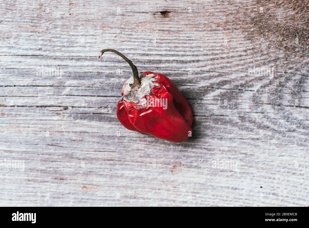 Schimmelige und zerknitterte Paprika. Das Konzept des ungesunden, zersetzlichen und verdorbenen Gemüses. Müll schüttet verrottete Lebensmittel auf Holzhintergrund. Draufsicht. Kopieren Stockfoto