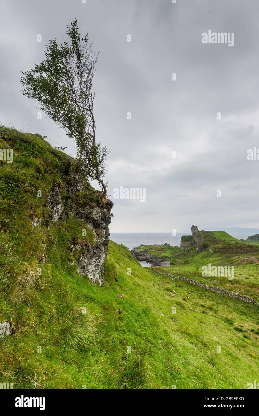 Burgruine Gylen auf der Insel Kerrera Stockfoto