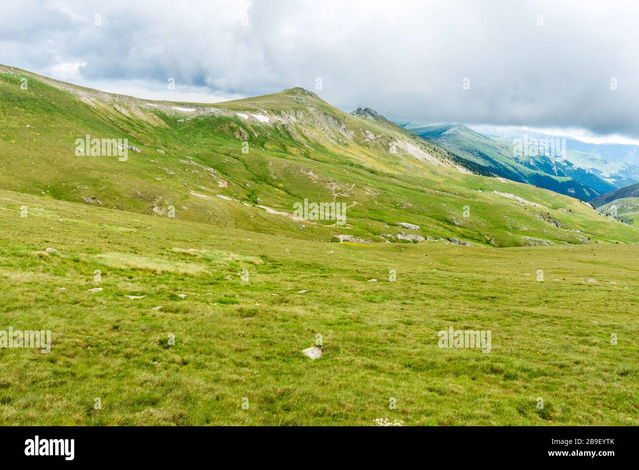 Sommerliche grüne Landschaft in den Bergen. Stockfoto