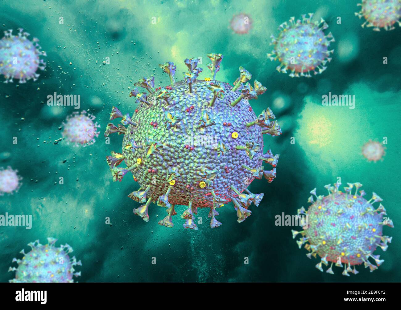 Zell ultrastruktur Fotos und Bildmaterial in hoher Auflösung Alamy