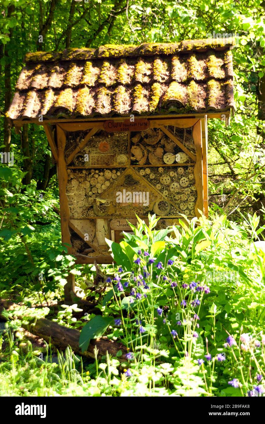 Insektenschutzhütte in einem Wald Stockfoto