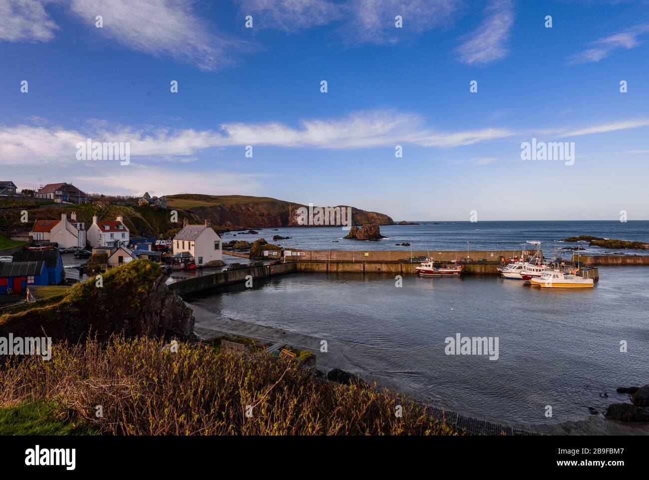 ST Abbs an der Südostküste Schottlands Stockfoto