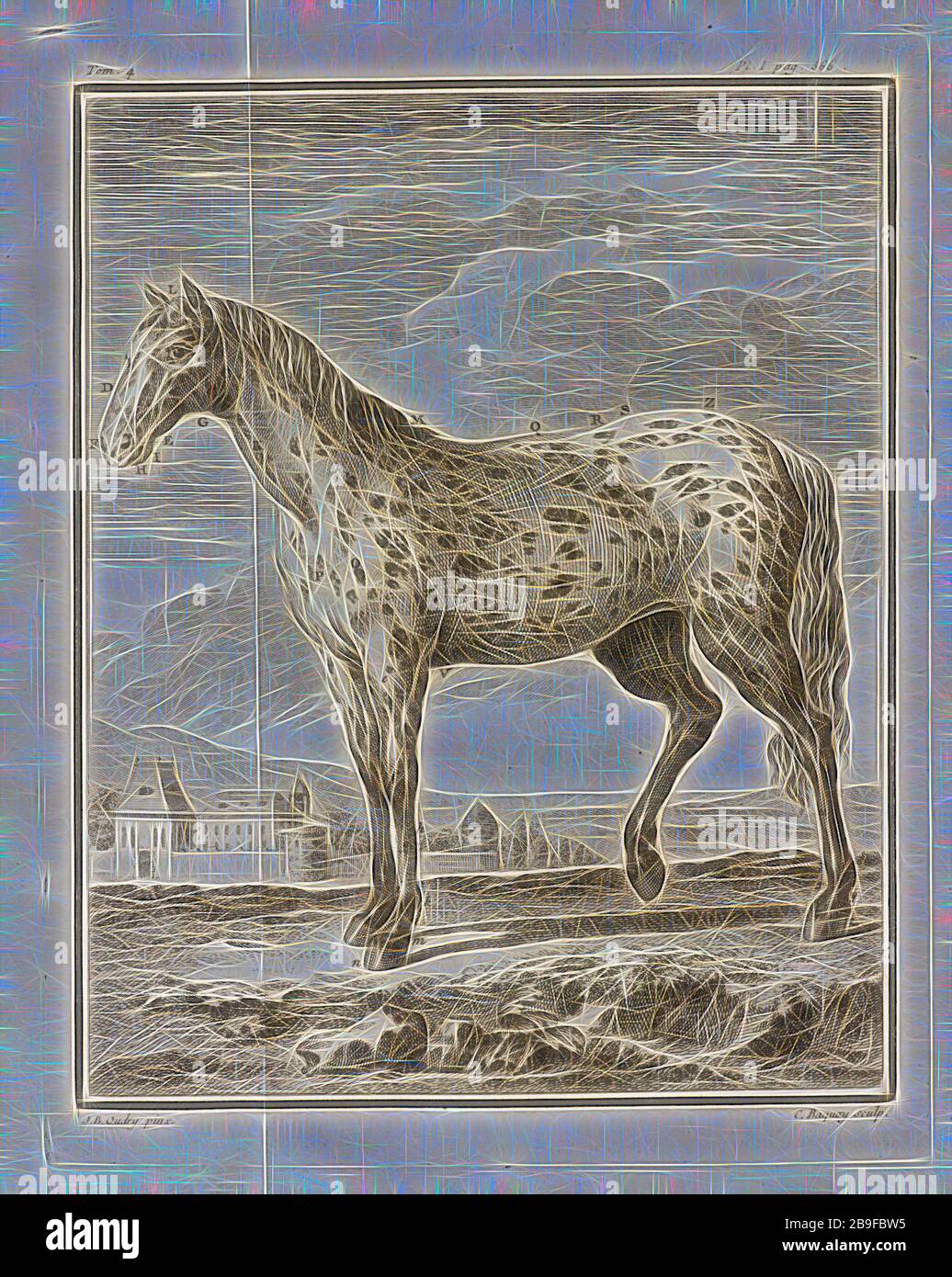 Histoire naturelle, générale et particulière: Avec la description du Cabinet de roi, Histoire naturelle, générale et particulière: Avec la description du Cabinet de roi, Baquoy, Jean Charles, 1721-77, Buffon, Georges Louis Leclerc, 1707-1788, Oudry, Jean-Baptiste, 1686-545, Gravur, 1749-1803, eingeklappt auf der linken Platte Oudry pinx., und unten rechts, C. Baquoy sculp, von Gibon neu vorgestellt, Design von warmem, fröhlichem Leuchten von Helligkeit und Lichtstrahlen. Klassische Kunst mit moderner Note neu erfunden. Fotografie, inspiriert vom Futurismus, mit dynamischer Energie der Moderne Stockfoto