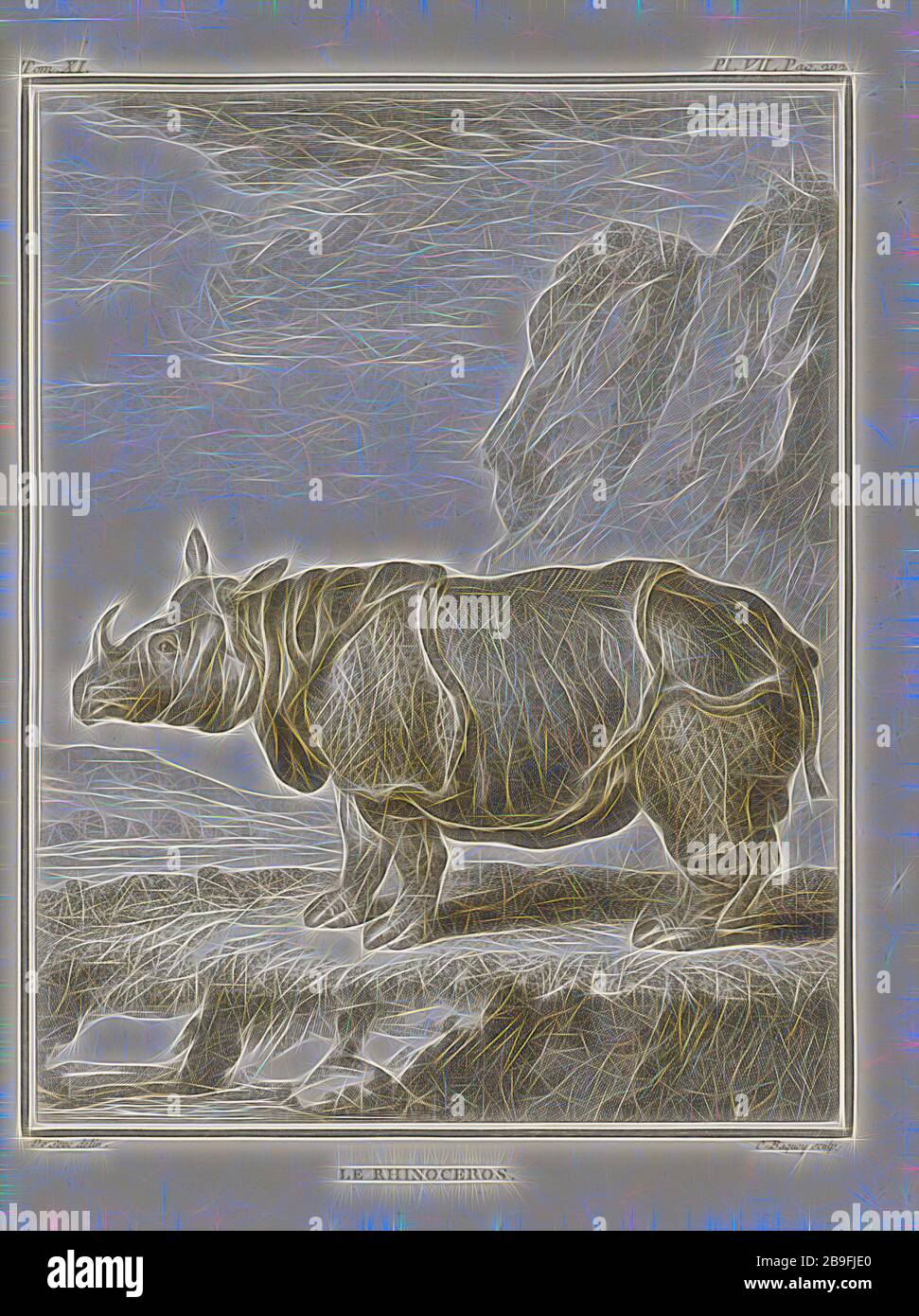 Le Rhinoceros, Histoire naturelle, générale et particulière: Avec la description du Cabinet de roi, Buffon, Georges Louis Leclerc, comte de, 1707-1788, Daubenton, M. (Louis-Jean-Marie), 1716-1799, Gravur, 1749-1803, von Gibon neu erdacht, Design von warmem fröhlichem Leuchten von Helligkeit und Lichtstrahlen. Klassische Kunst mit moderner Note neu erfunden. Fotografie, inspiriert vom Futurismus, die dynamische Energie moderner Technologie, Bewegung, Geschwindigkeit und Kultur revolutionieren. Stockfoto