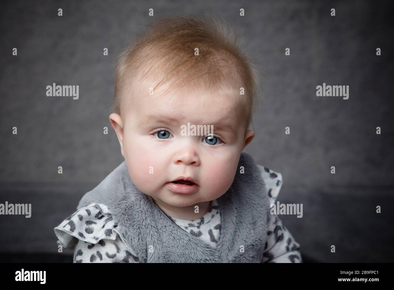 Gesichtsporträt eines 7 Monate alten Mädchens mit Blick auf die Kamera und vor grauem Hintergrund in grauem Outfit. Stockfoto