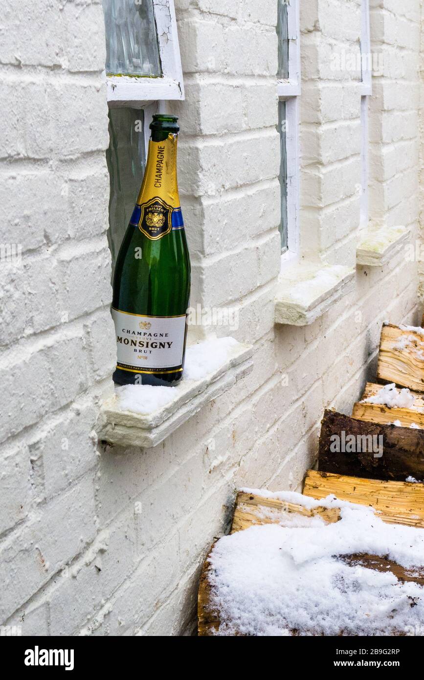 Monsigny Champagnerflasche auf dem Fenstervorsprung des toilettenblocks bei der, GRRC 76. Mitgliederversammlung, Goodwood, West Sussex Stockfoto