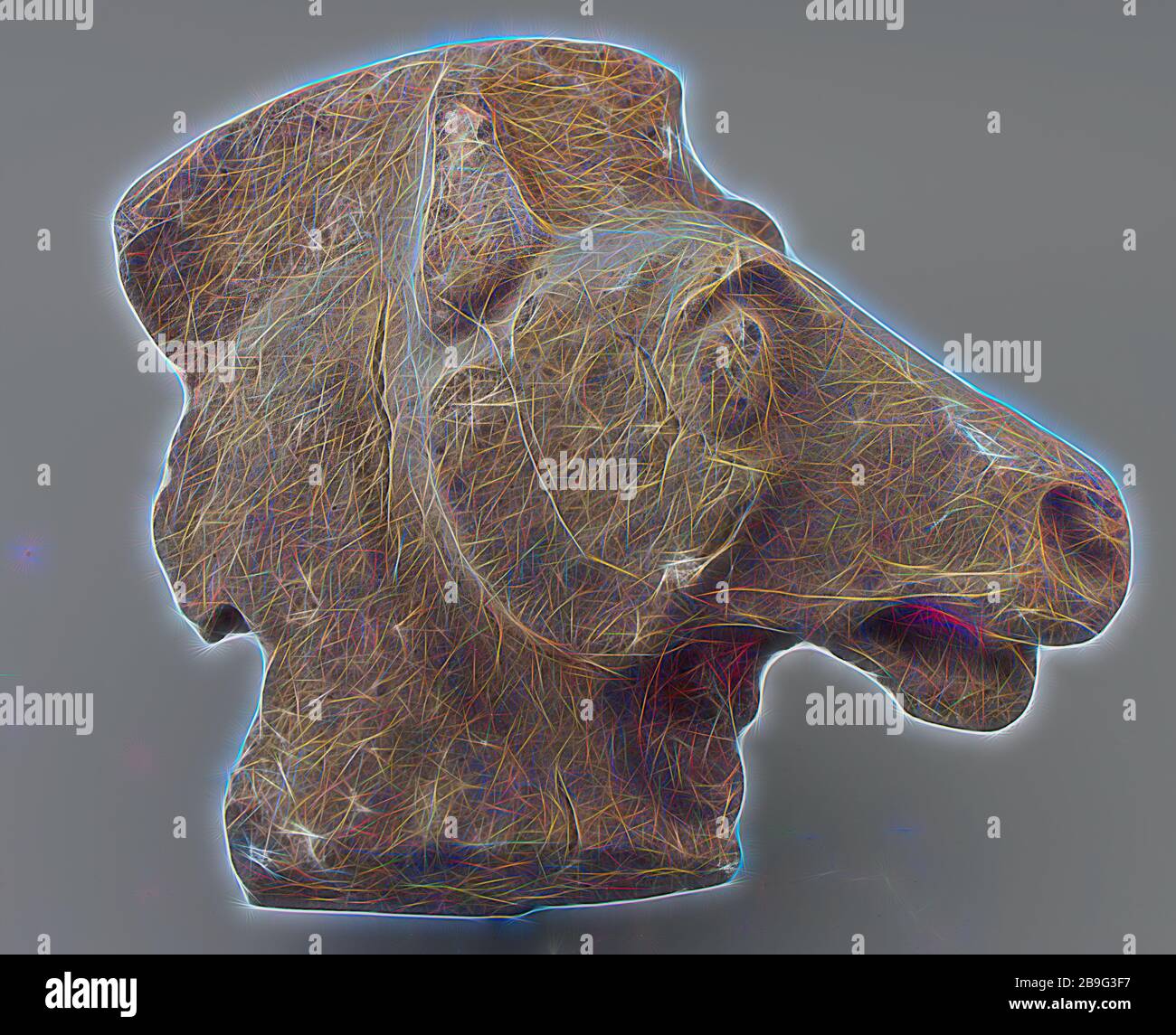 Stein stilisierter Pferdekopf, Bildfragment, Bildmaterial Bildfragment Fundamente Stein, gehackte Archäologie Lek Rotterdam-Feijenoord Noordereiland Maaskade Bodenfindung fand am 16. April 1923 im Sand statt, der von der Lek für Arbeiten an der Maaskade geliefert wurde Stockfoto