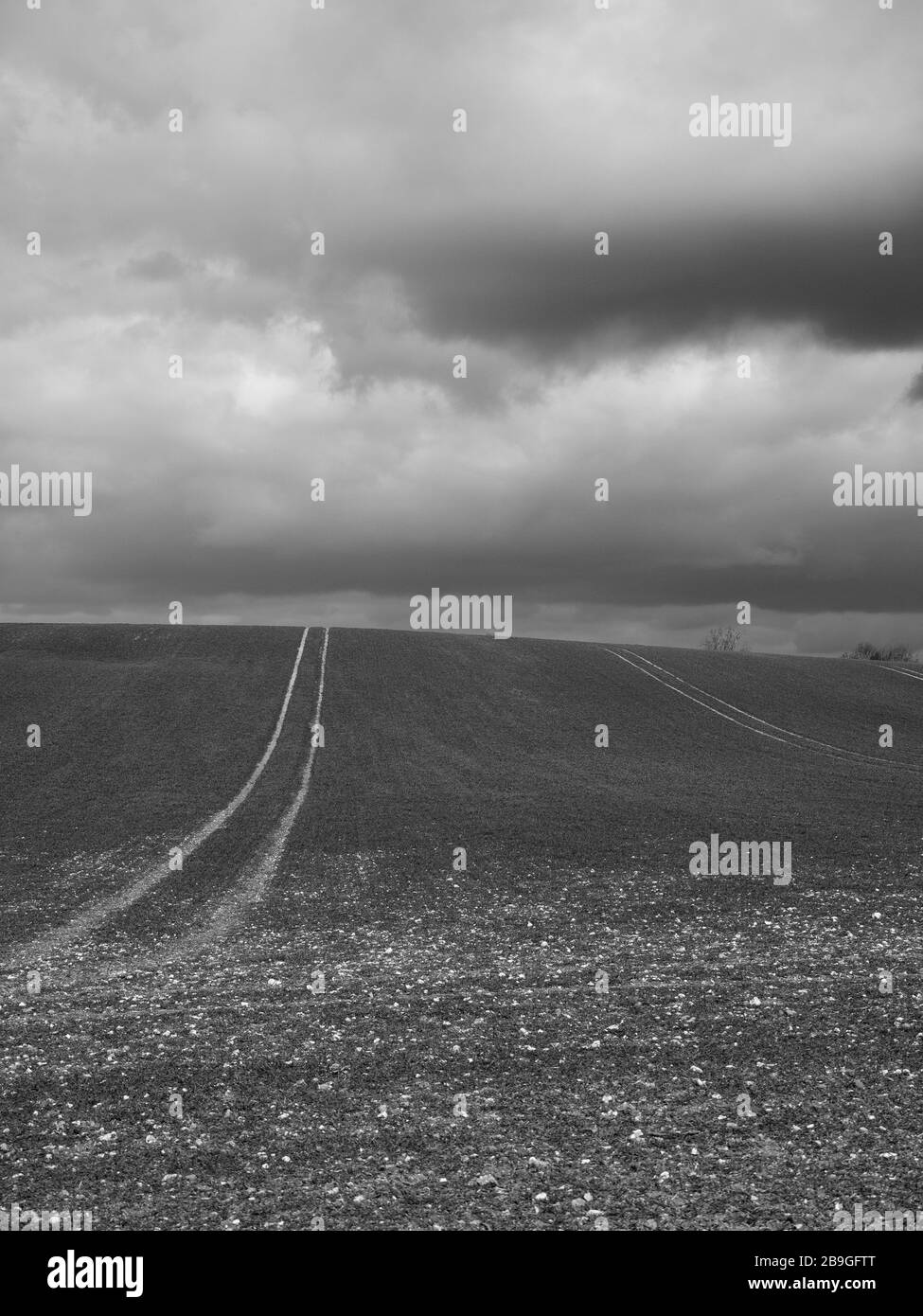 The Chiltern Hills, AONB, Black and White Landscape, Winter Sky's, vom Ridgeway National Trail, Nufied, Oxfordshire, England, Großbritannien und GB aus betrachtet. Stockfoto