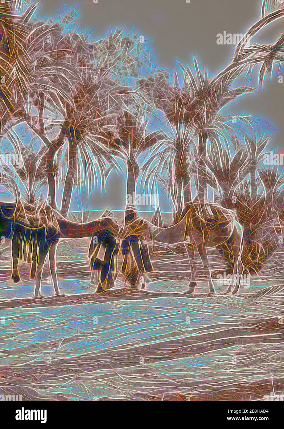 Zum Sinai, über das Rote Meer, Tor, und Wady Hebran. Kamele salutierte. 1900, Ägypten, Sinai Stockfoto