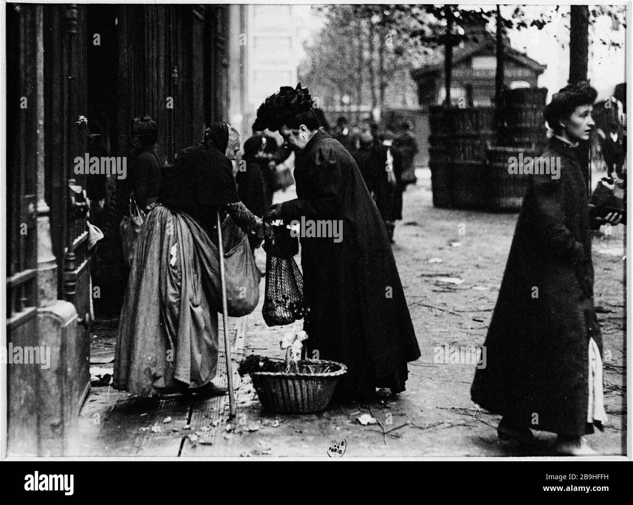 MARKT KRÄUTER UND KNOBLAUCH Marchande d'herbes et d'ail. Paris, Vers 1900. Photographie de Louis Vert (1865-1924). Paris, musée Carnavalet. Stockfoto