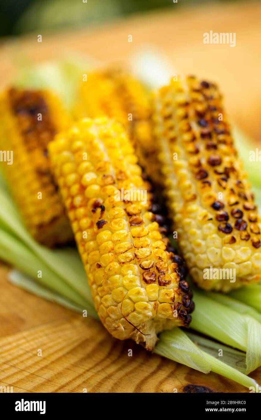 Gegrillte Maisknobel. Gerösteter Mais. Geringe Schärfentiefe Stockfoto