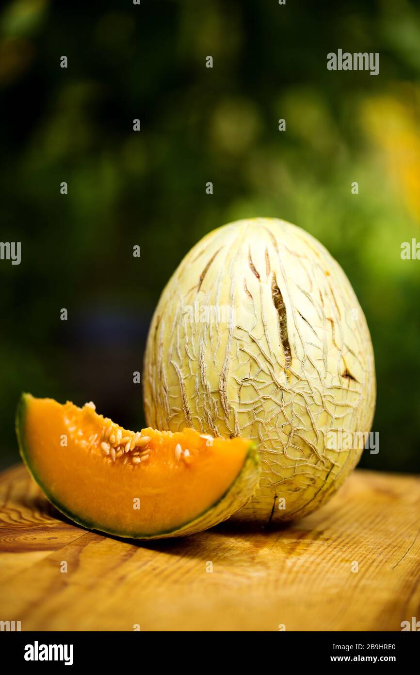 Reife Heirloom-Melone auf Gartenhintergrund Stockfoto