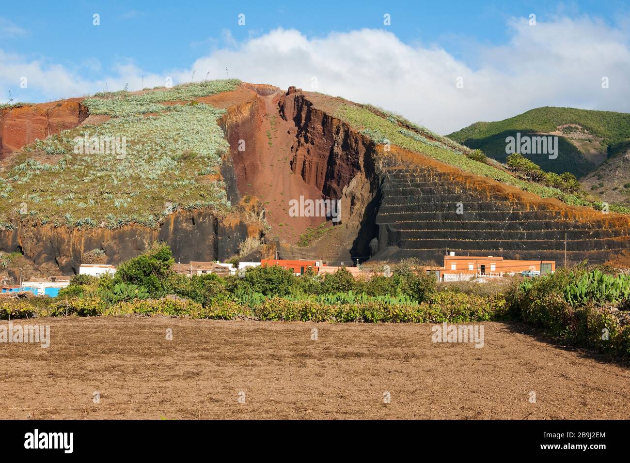 El Palmar Aloehügel, Teneriffa, Kanarische Inseln, Spanien, Europa Stockfoto