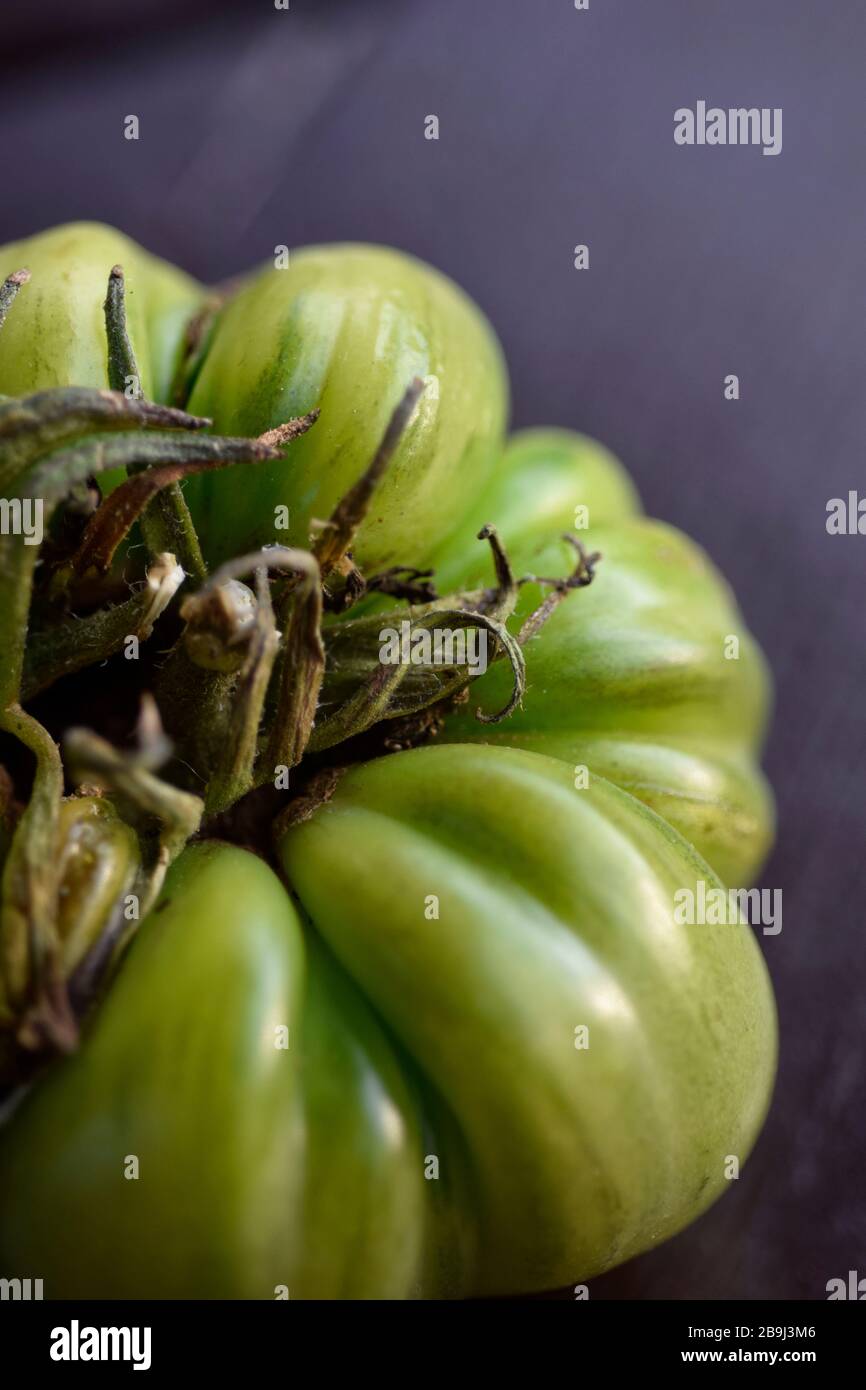 grüne Tomaten Stockfoto