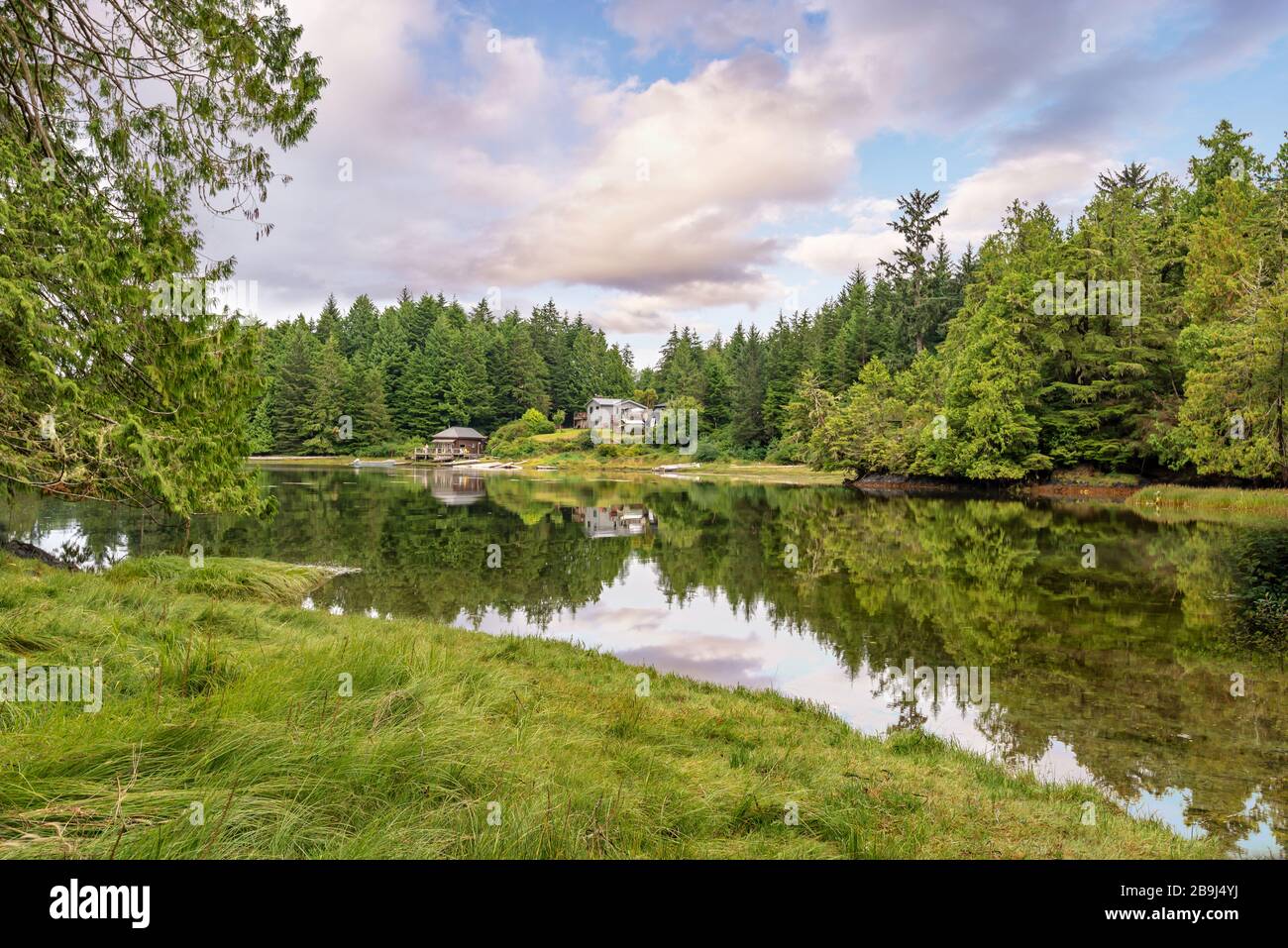 Frühlingskuve in Ucluelet in der Nähe von Tofino, Vancouver Island, British Columbia Stockfoto