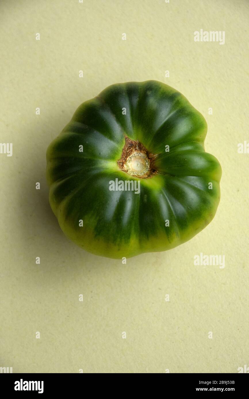 grüne Tomaten Stockfoto