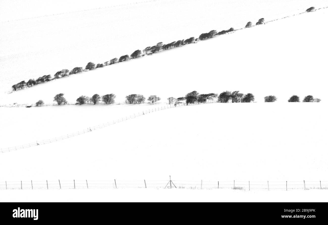 Schöne düstere Winterschneeszene mit schwarzem Zaun, Sträuchern und Bäumen am Rande schneebedeckter Bauernfelder, die ein minimalistisches Design machen Stockfoto