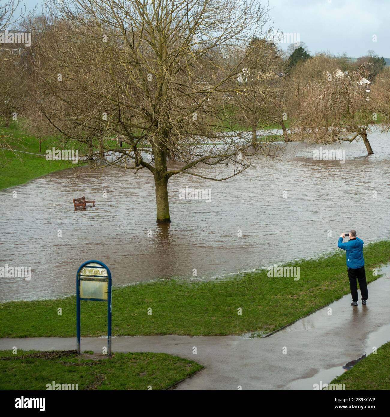 Person, die ein Foto von überschwemmter Parklandschaft neben der River Wharfe nach den Stürmen im Jahr 2020 gemacht hat, Ilkley, Großbritannien Stockfoto