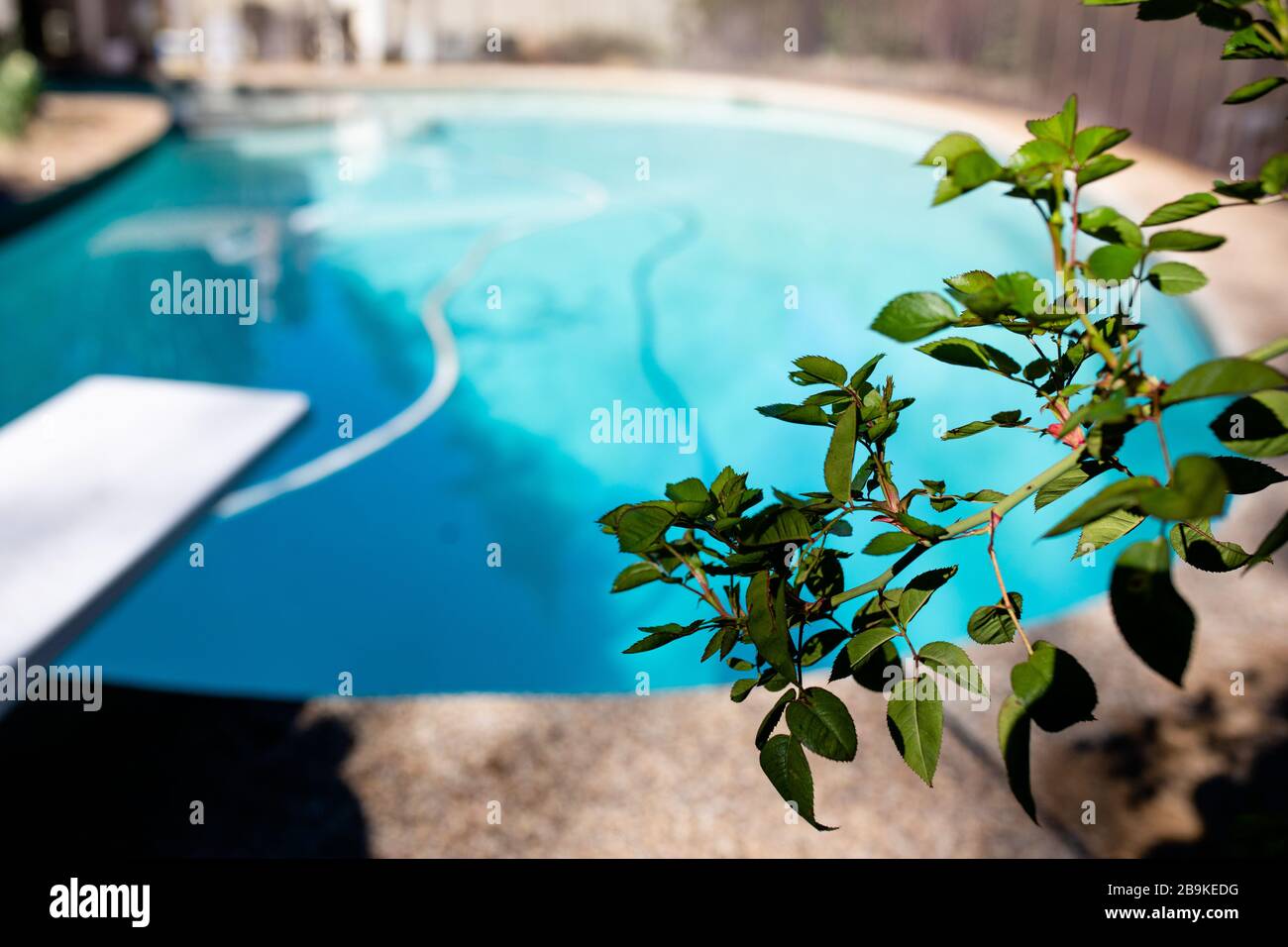 Pool Service sauber und erfrischend Pool mit blauem Wasser Stockfoto