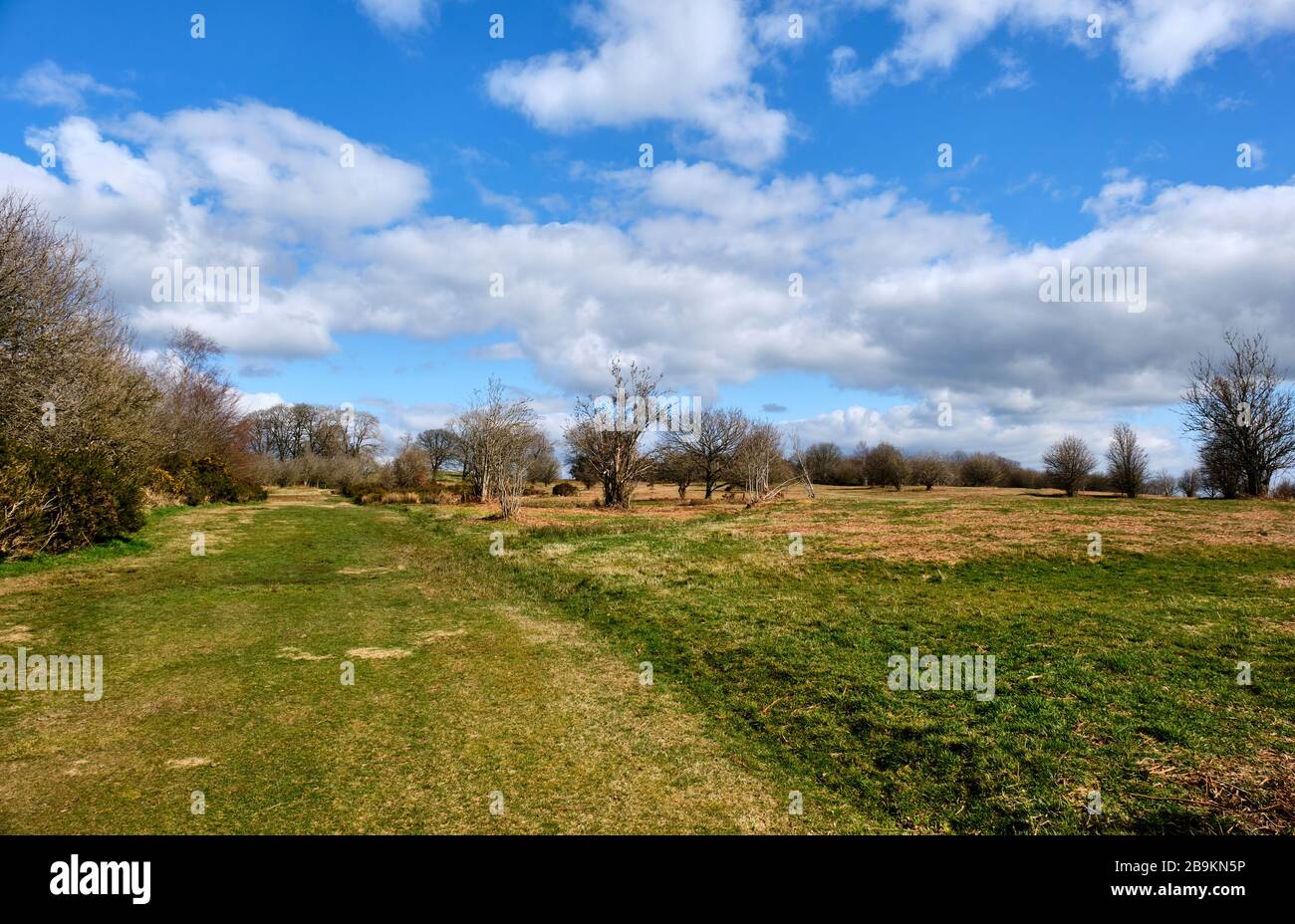 The Old Racecourse, Oswestry, Shropshire Stockfoto