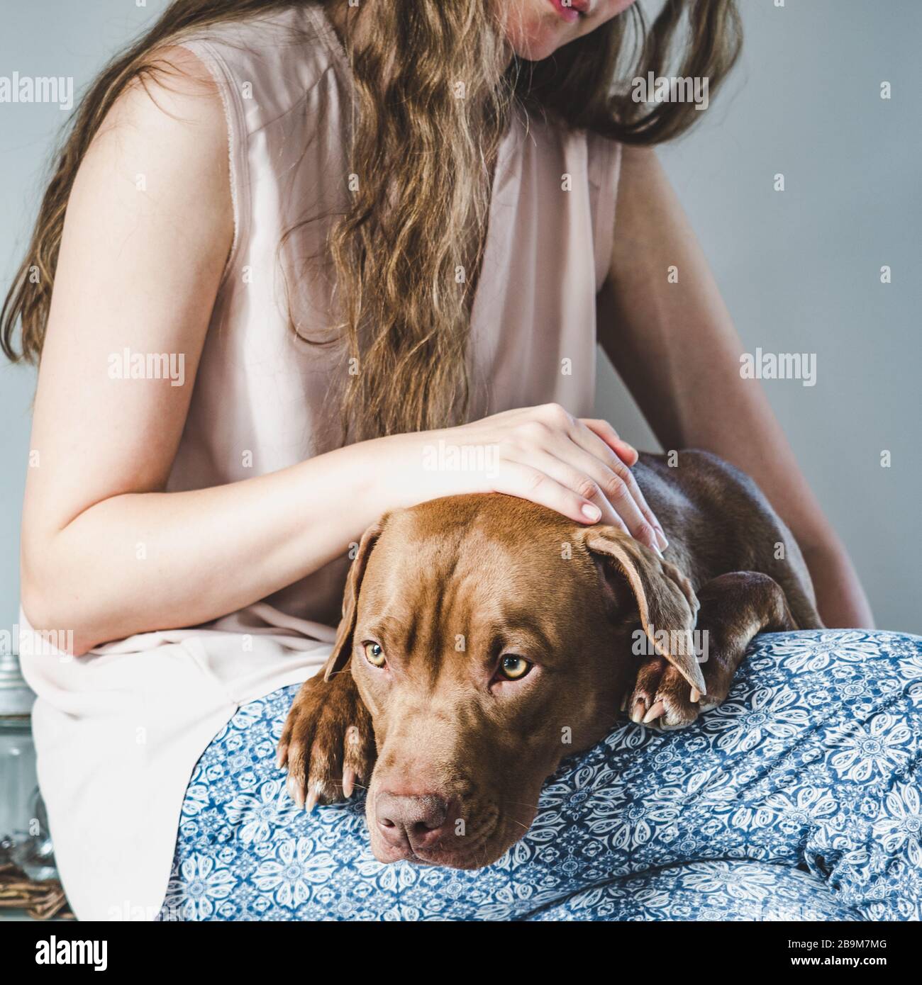 Stilvolle Frau und hübscher Welpe. Nahaufnahme Stockfoto