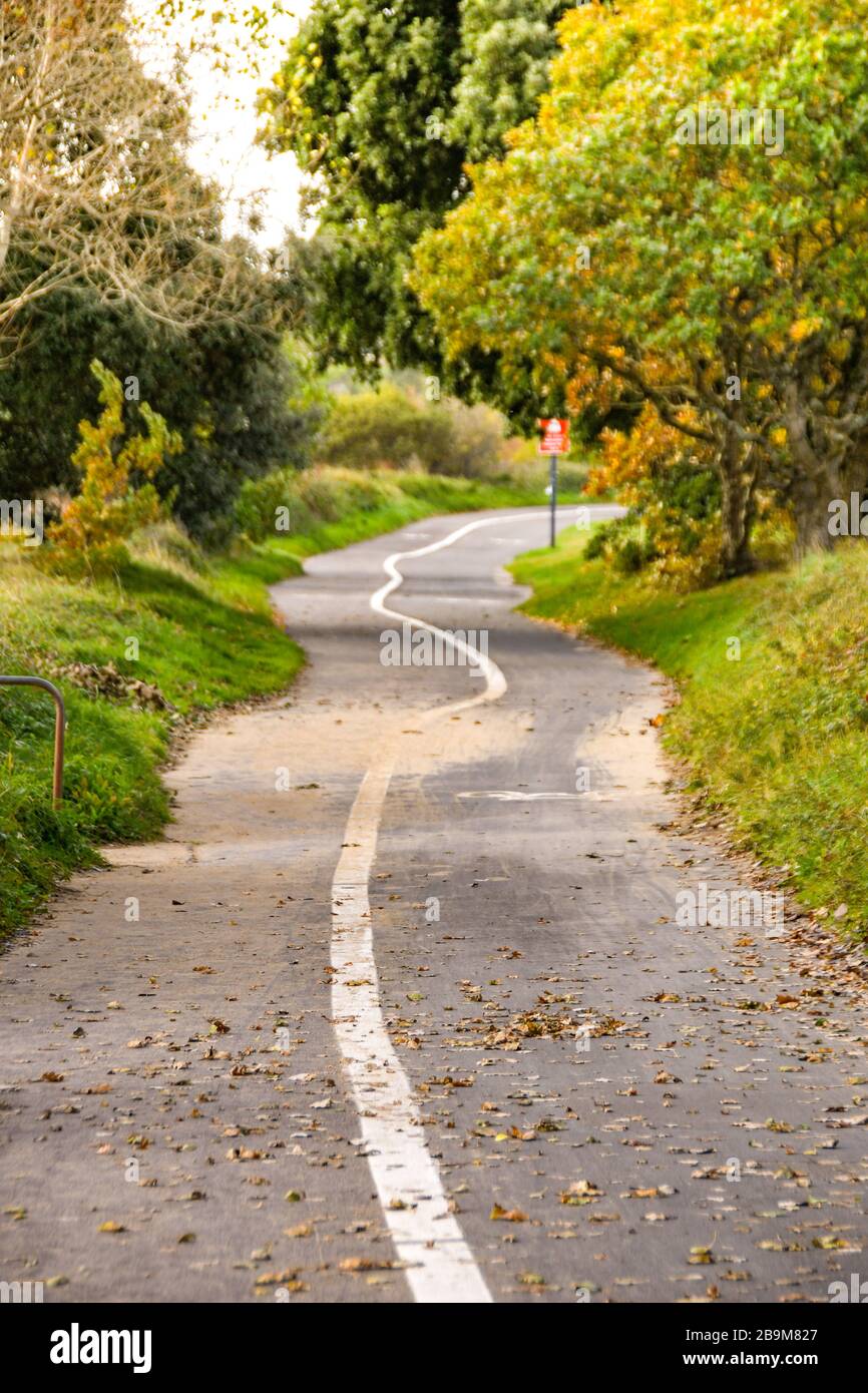 Kurvenreicher Radweg zwischen Bäumen mit bemalten weißen Linienmarkierungen Stockfoto