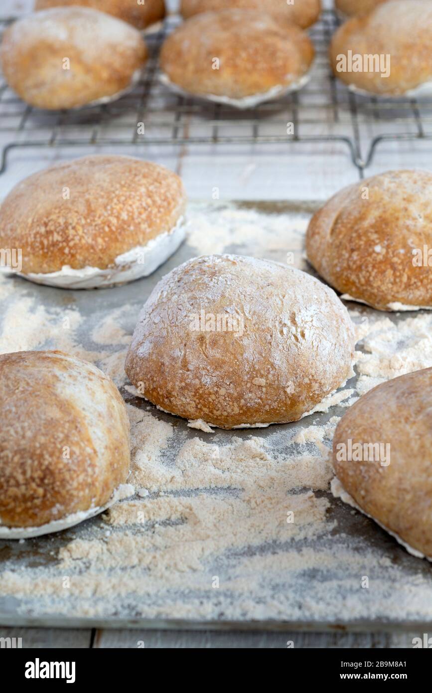 Frisch gebackene Sauerteig Brötchen. Stockfoto