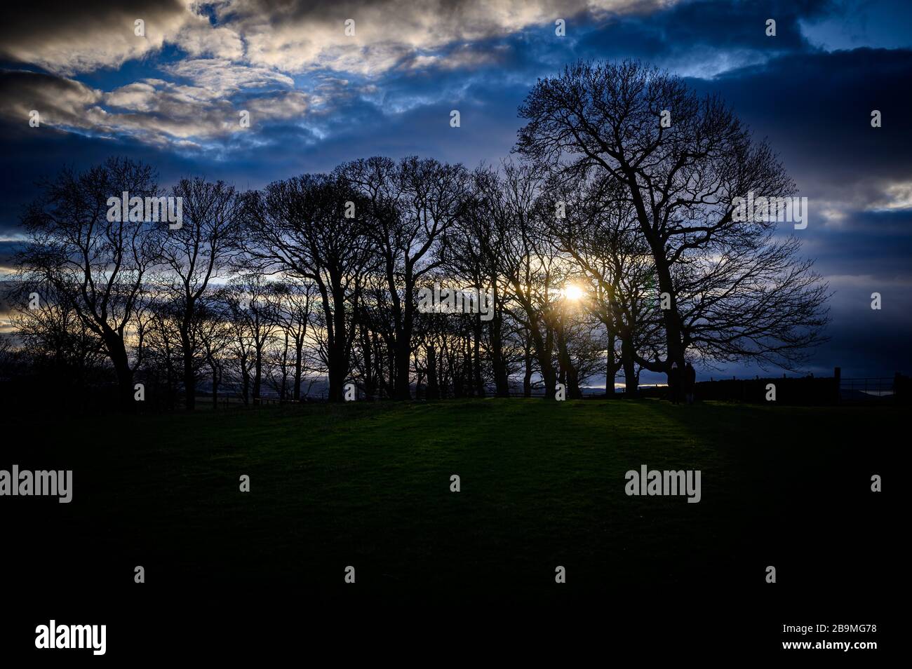 Burton Mere RSPB Reserve Stockfoto