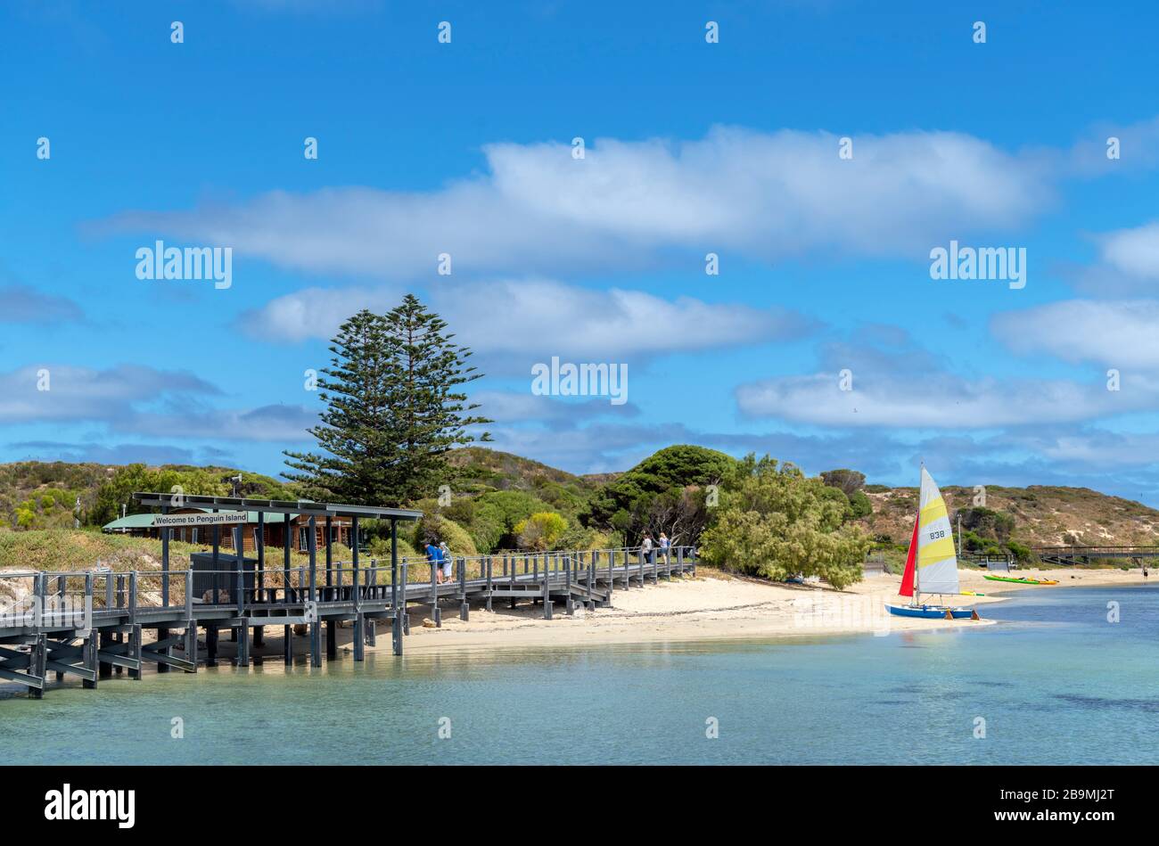 Strand- und Bootssteg auf Penguin Island, Rockingham, Western Australia, Australien Stockfoto