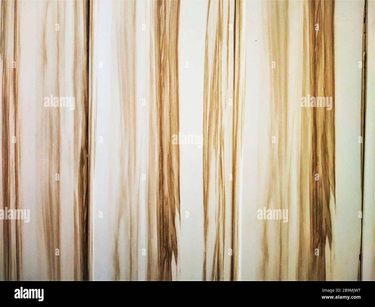 Tolles, braunes, cremefarbenes, vertikales Marmormuster für Wände, Indien Stockfoto