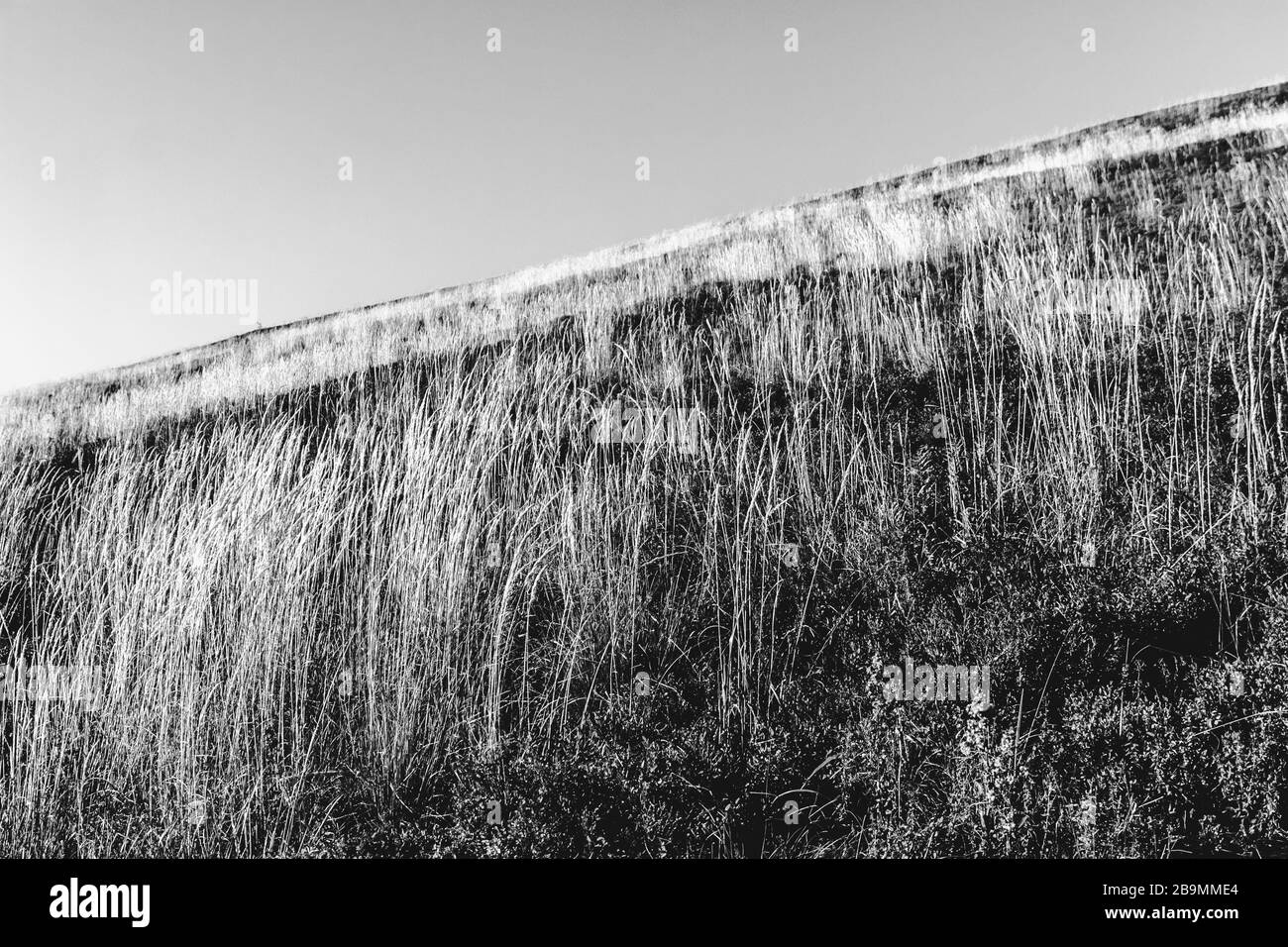 Blick von Carynska Polonyna im Bieszczady-Gebirge in Polen Stockfoto