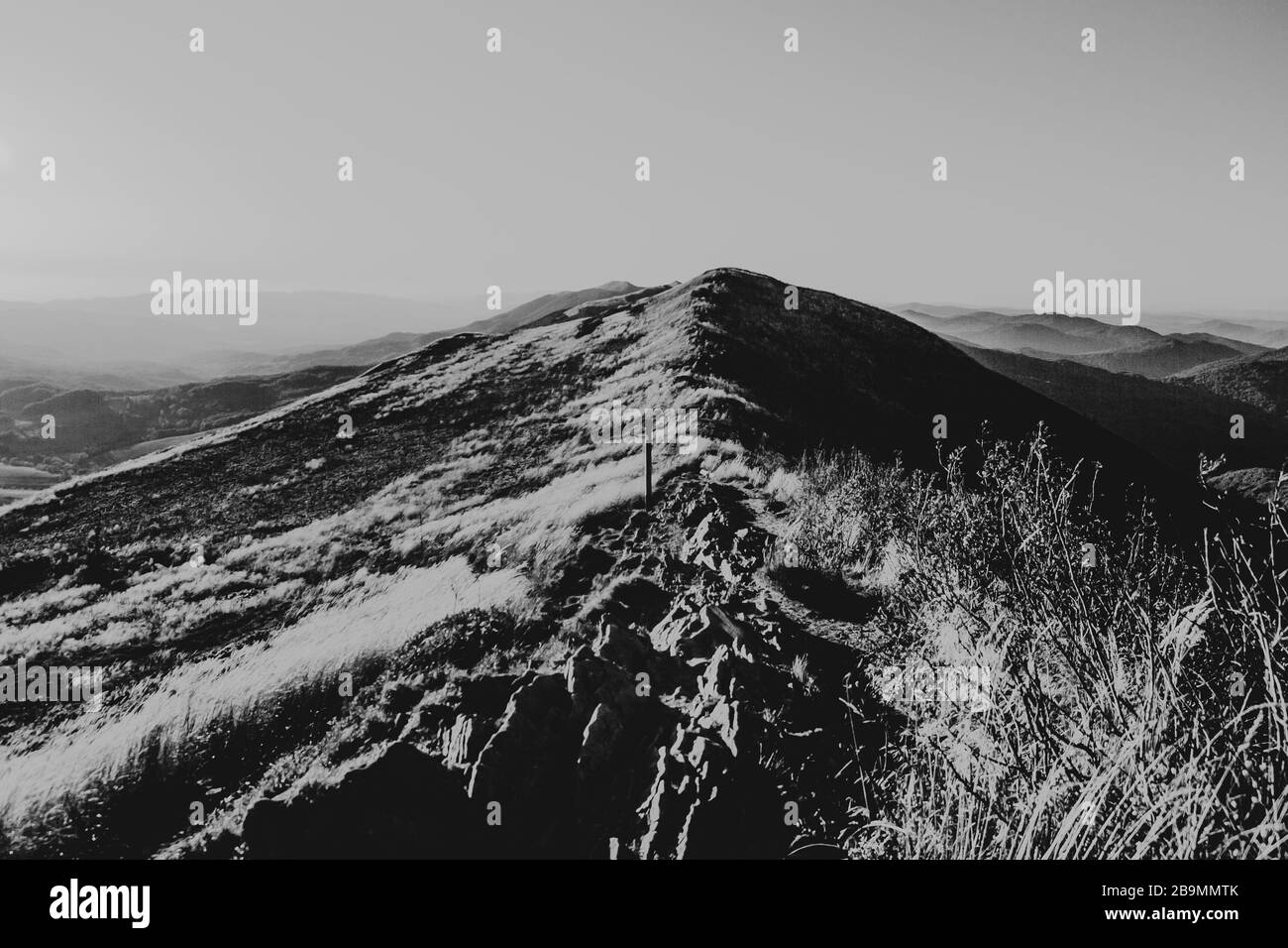 Blick von Carynska Polonyna im Bieszczady-Gebirge in Polen Stockfoto