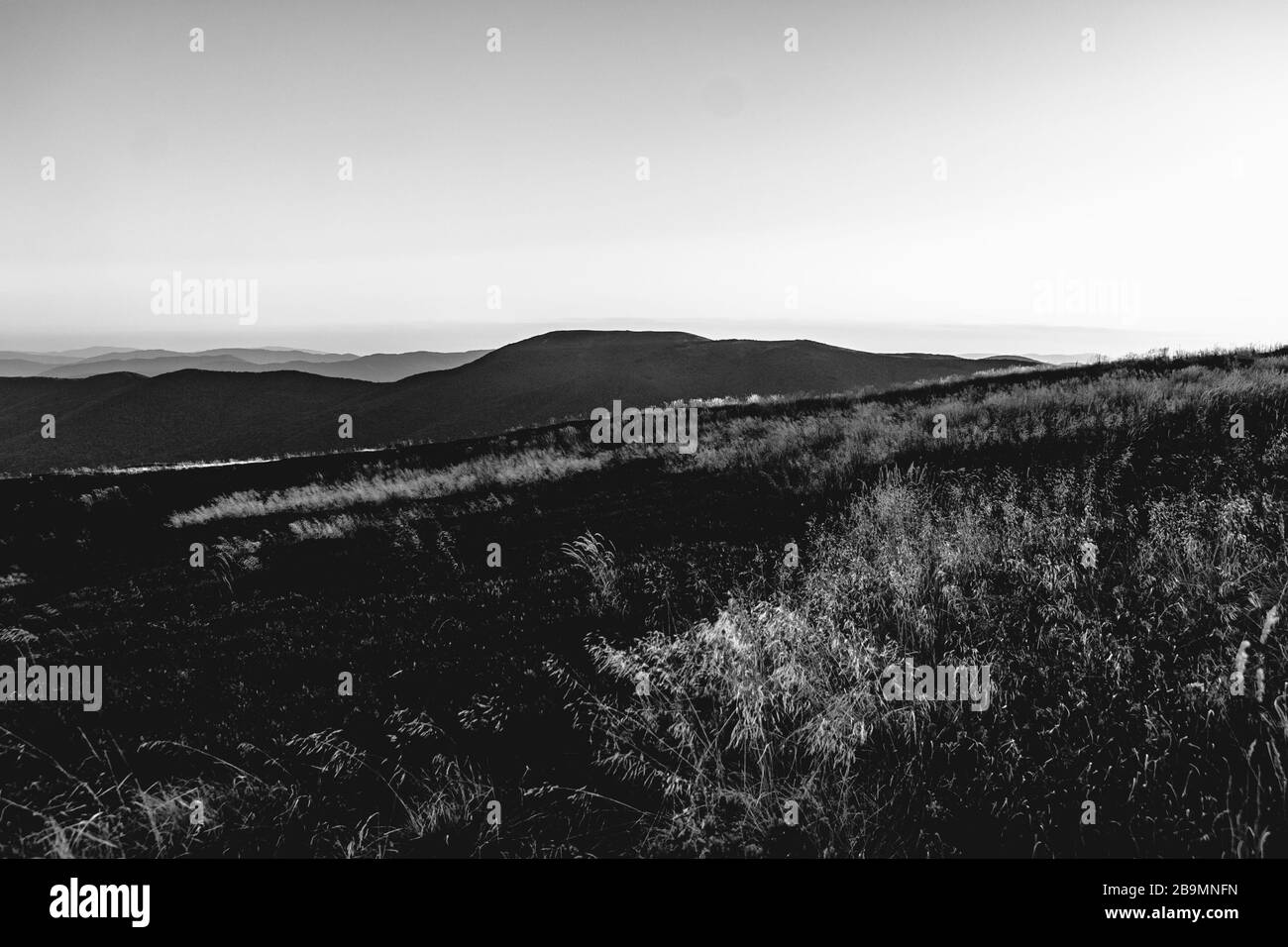 Blick von Carynska Polonyna im Bieszczady-Gebirge in Polen Stockfoto