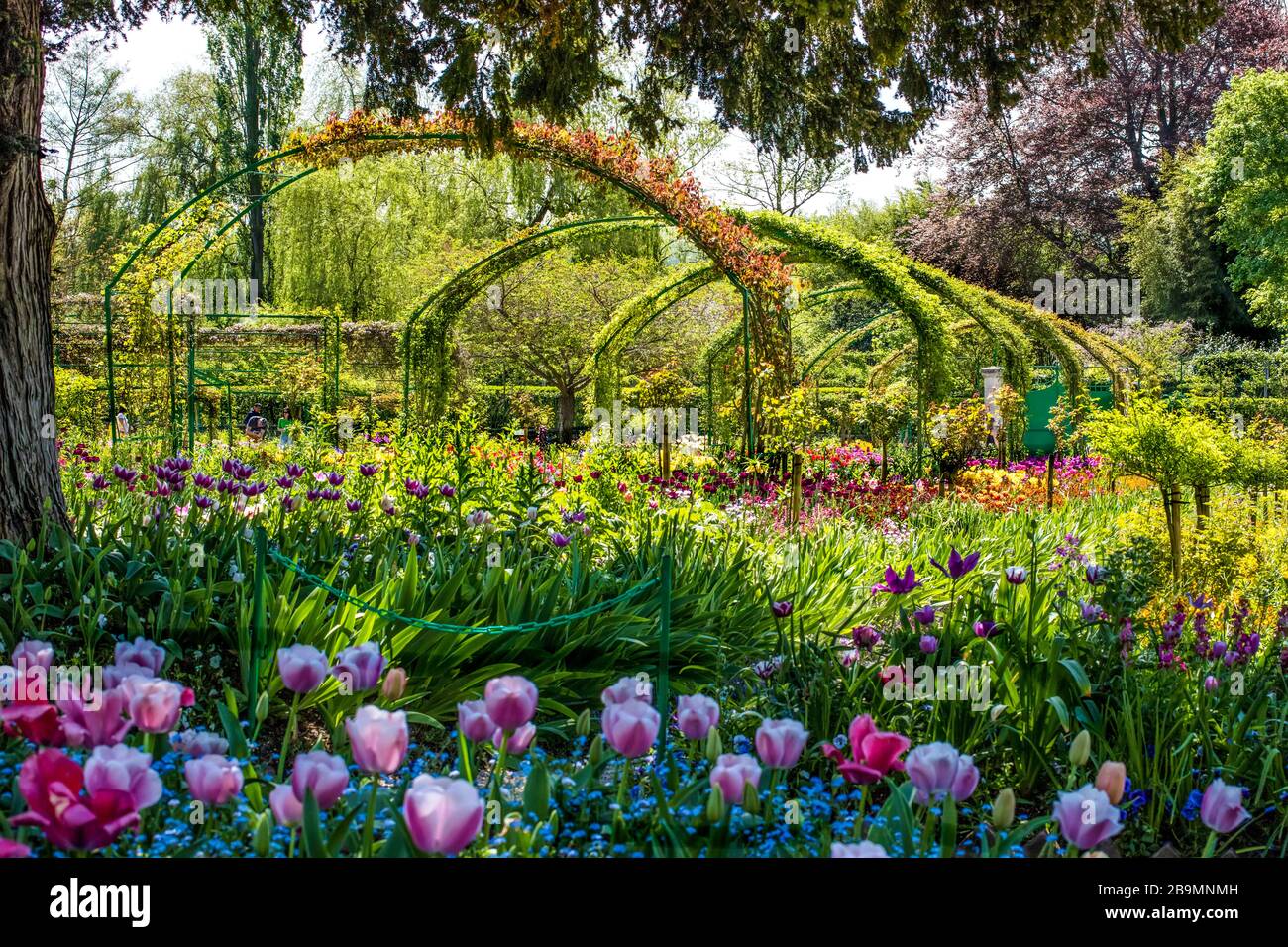 Gartenbögen in Monets Garten, Giverny, Frankreich Stockfoto
