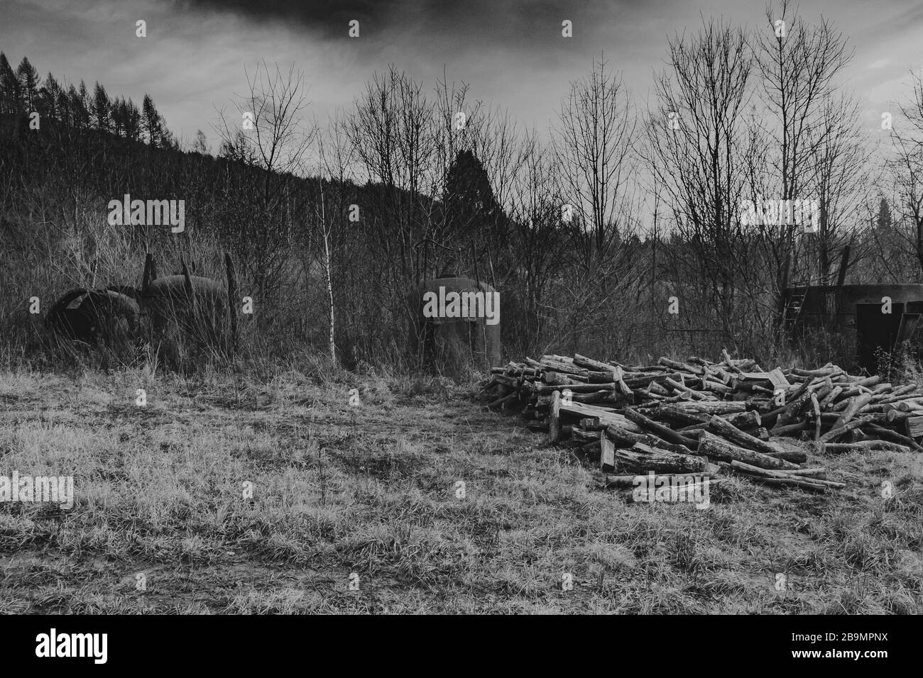 Dwernik im Bieszczady Gebirge in Polen Stockfoto