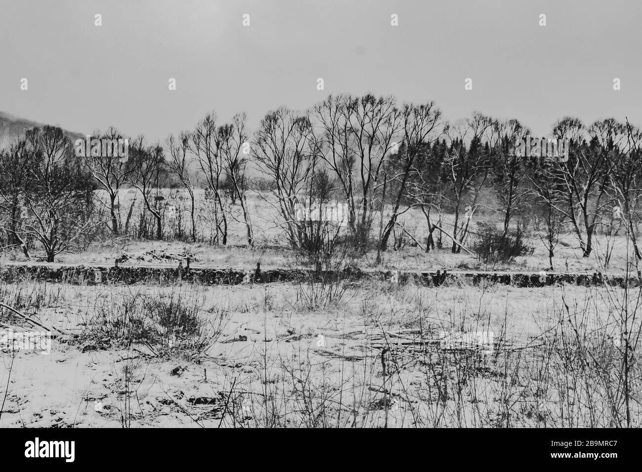 Kalnica im Bieszczady Gebirge in Polen Stockfoto