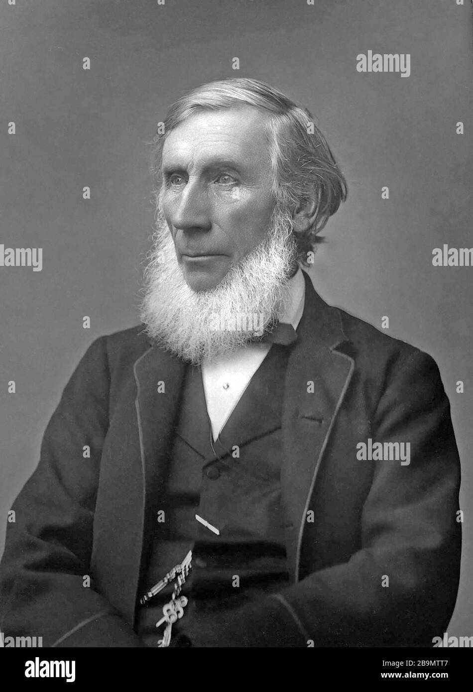 Irischer Physiker JOHN TYNDALL (1820-1893) Stockfoto