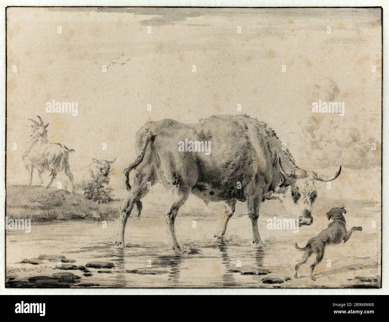 Rind im Wasser ärgerte sich über einen Hund Dirck van Bergen (1645-v.1900). "Boeuf dans l'eau agacé par un chien". Dessin à la pierre noire et lavis d'encre de Chine. Musée des Beaux-Arts de la Ville de Paris, Petit Palais. Stockfoto