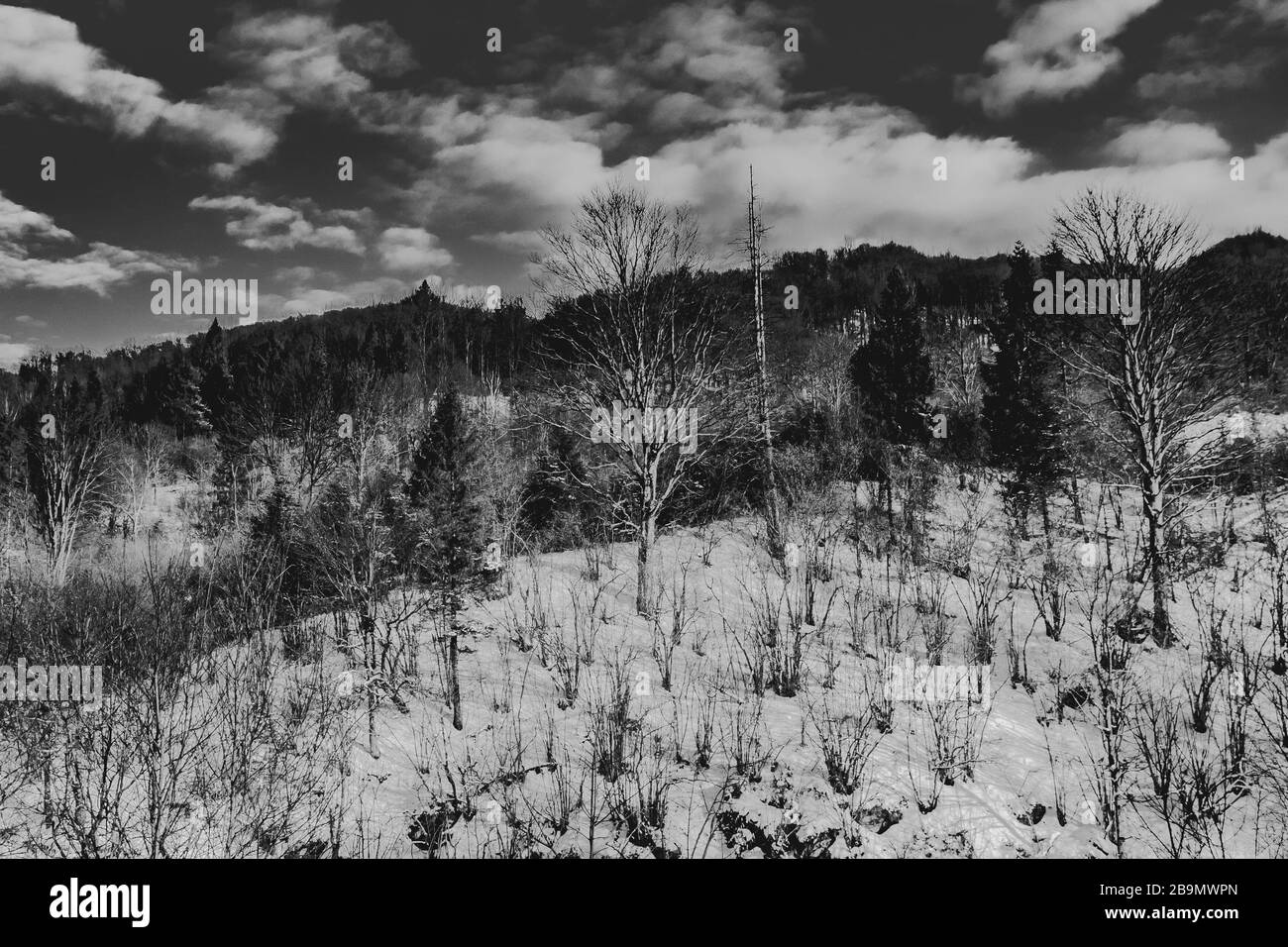 Winterlandschaft in den Bieszczady-Bergen Stockfoto