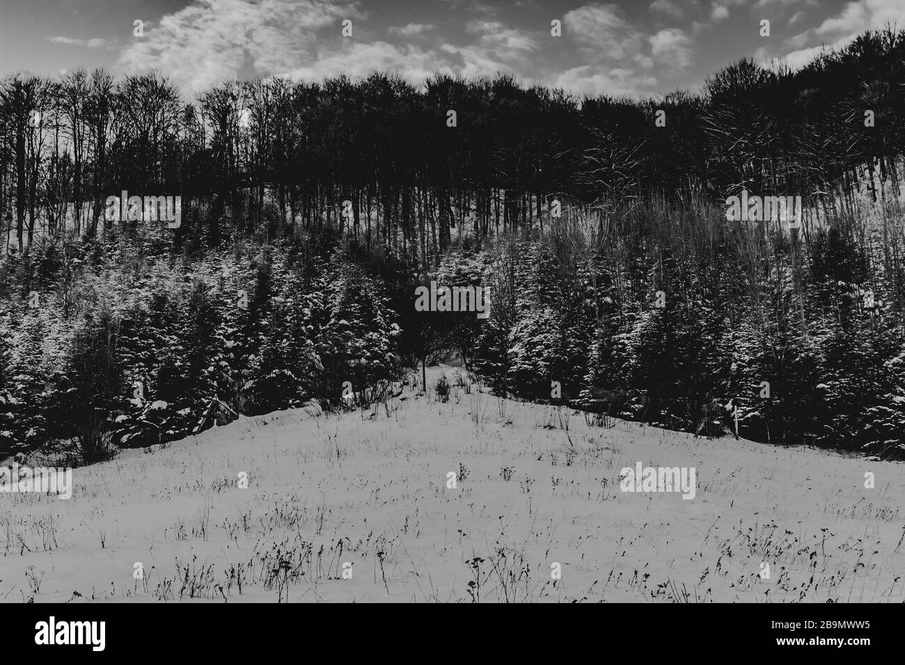 Winterlandschaft in den Bieszczady-Bergen Stockfoto