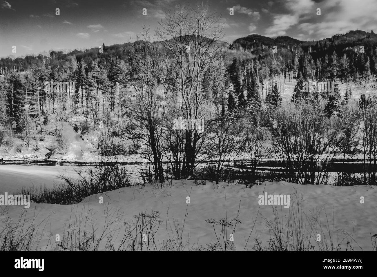 Winterlandschaft in den Bieszczady-Bergen Stockfoto