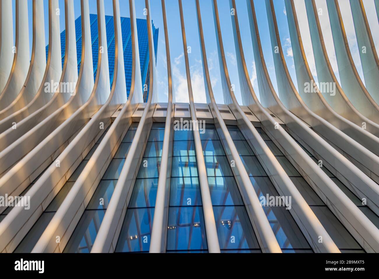 World Trade Center Transportation Hub ( Oculus) in New York City Financial District Tageslichtaufnahme Außenansicht aus tiefem Winkel Nahaufnahme Stockfoto