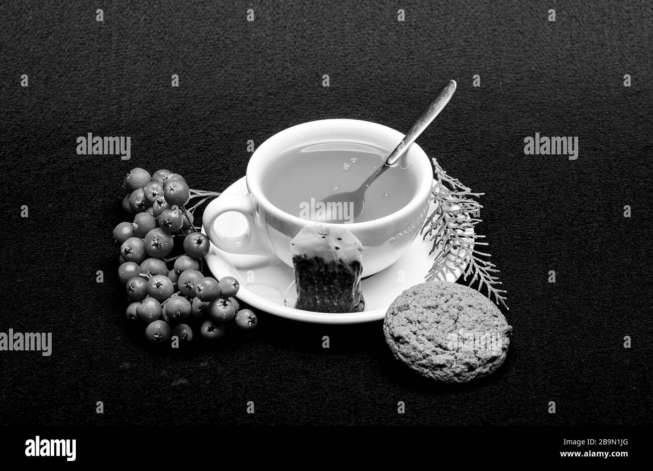 Gourmet köstlichen Geschmack. Keramikbecher warmes, frisch gebrühtes Teegetränk. Heilmittel für das Gesundheitswesen. Trinken Sie aromatisches Getränk. Café-Restaurant-Menü. Tasse Tee auf schwarzem Hintergrund Nahaufnahme. Kräutertee. Stockfoto