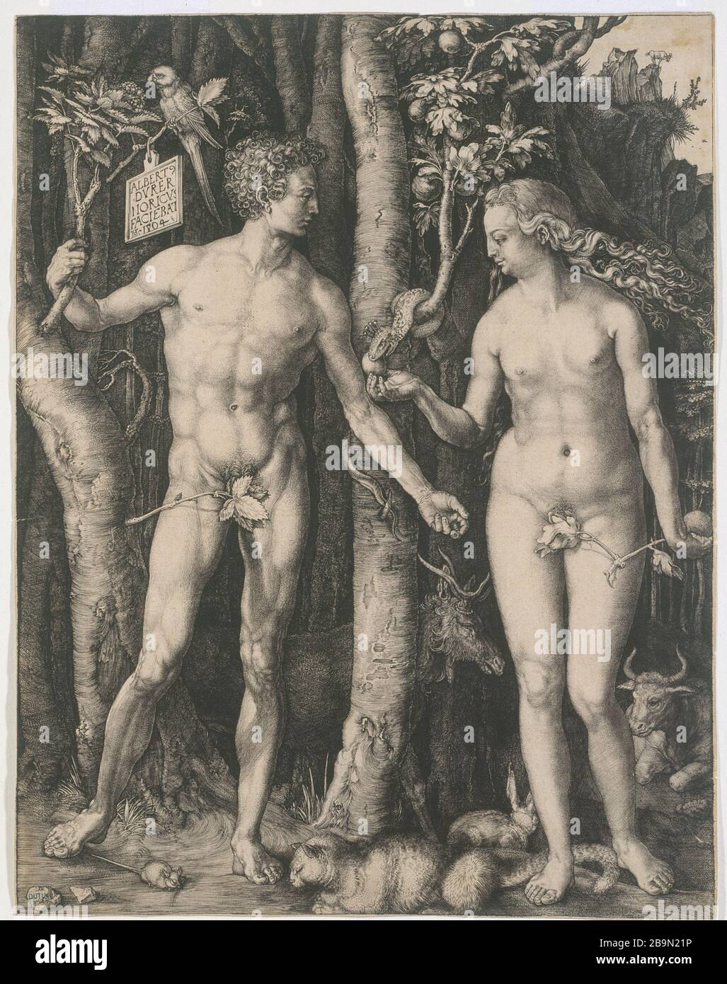 ADAM ET EVE Albrecht Dürer (1471-1528). "Adam et Eve". Tiefdruck, XVIème siècle, B 1. Musée des Beaux-Arts de la Ville de Paris, Petit Palais. Stockfoto