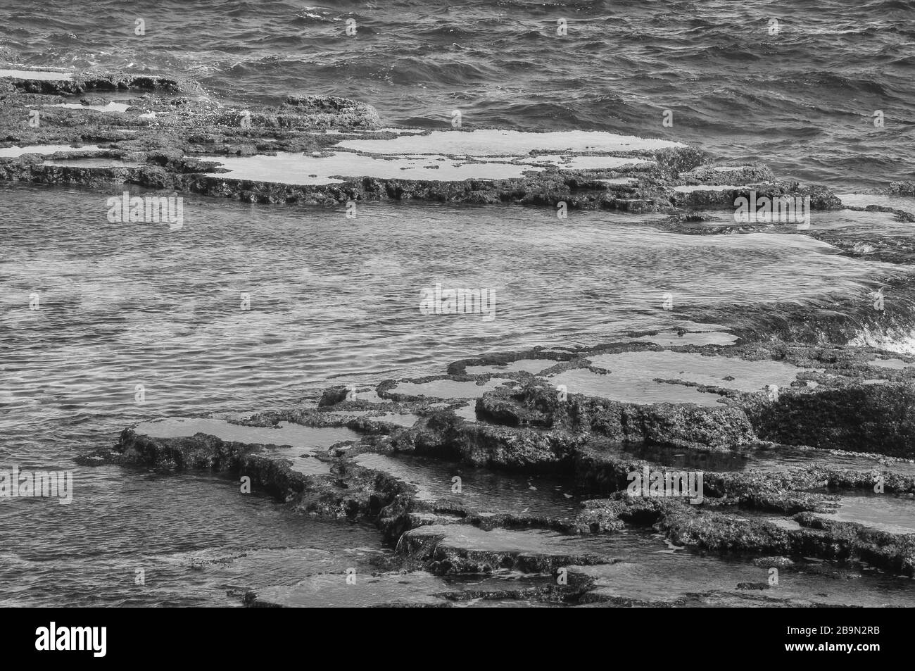 Mapu'a 'a Vaea Blowholes Stockfoto