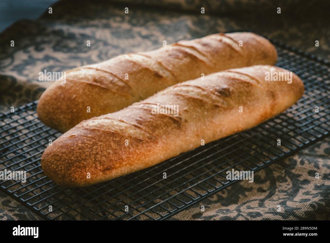 Französische Baguette, frisch aus dem Ofen, Kühlung auf einem Rack Stockfoto