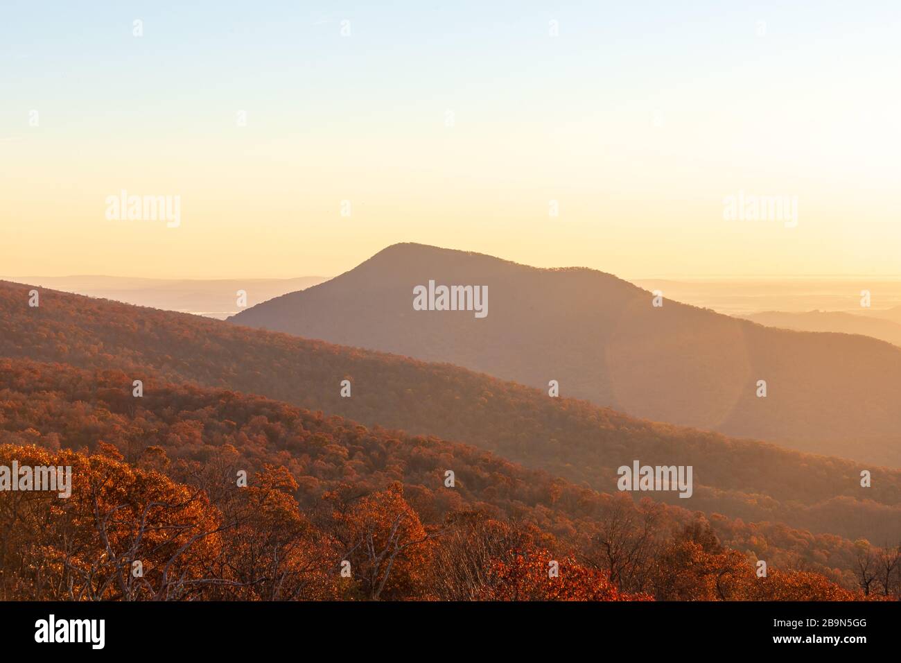 Höhepunkt der Herbstlaube im Shenandoah-Nationalpark Stockfoto